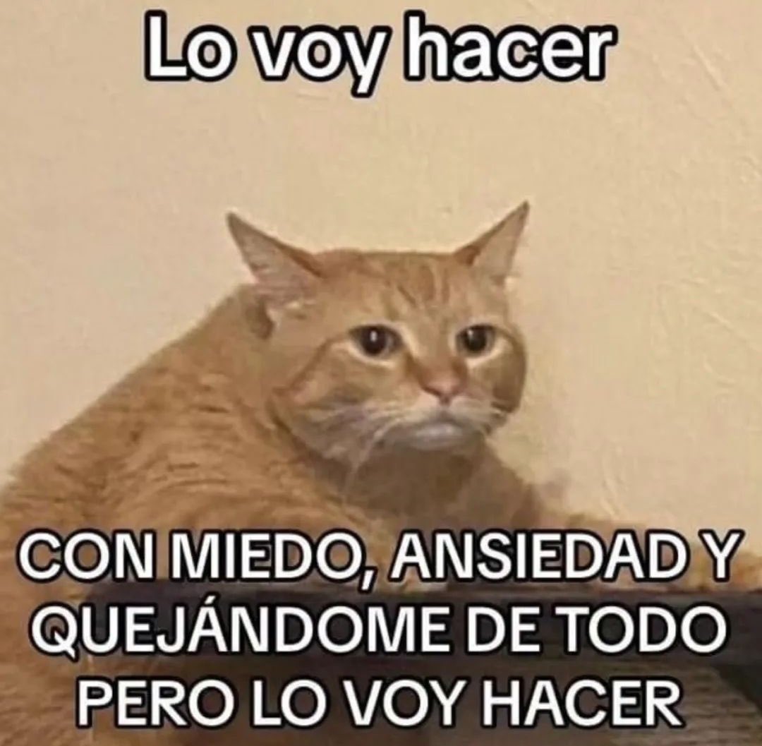 ForaneoProfe's tweet photo. Cuando me dicen que voy a tener primer grado, la comisión de acción social, el periódico mural de septiembre y la sub-dirección. https://t.co/VVZhuB0xLD