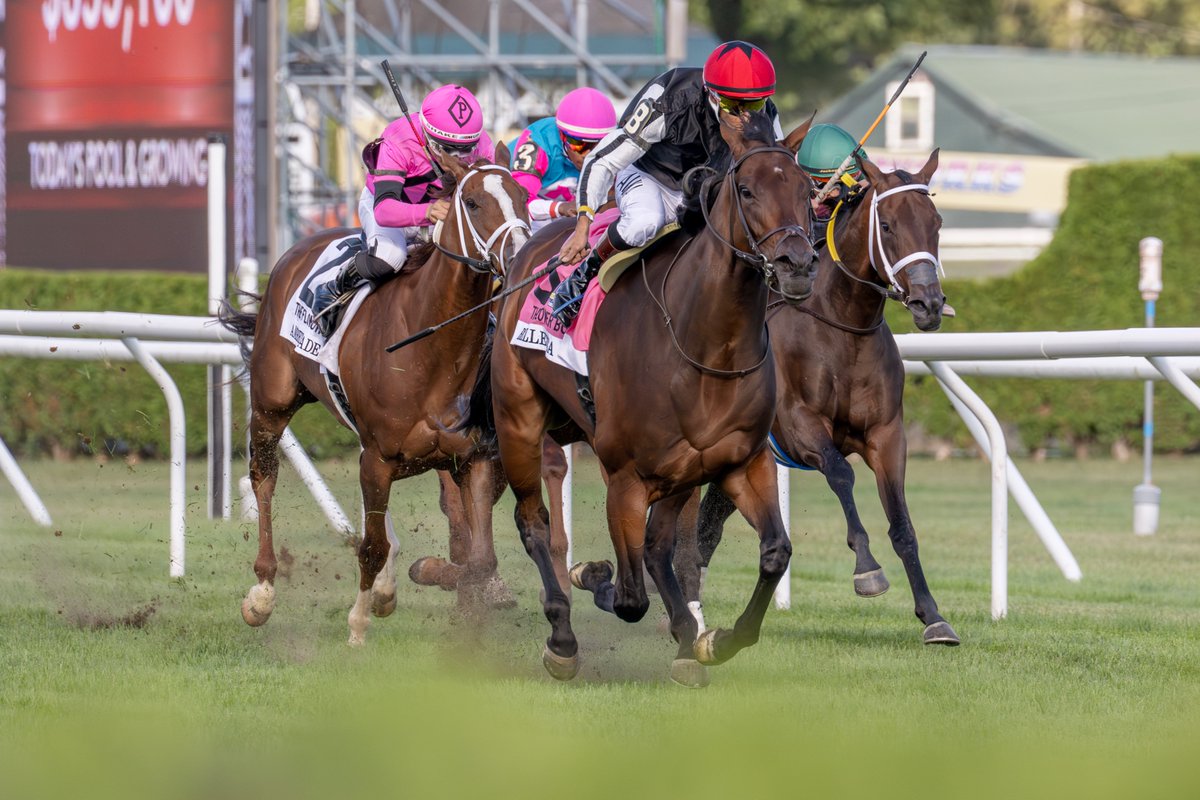 Erica Miller tweet media