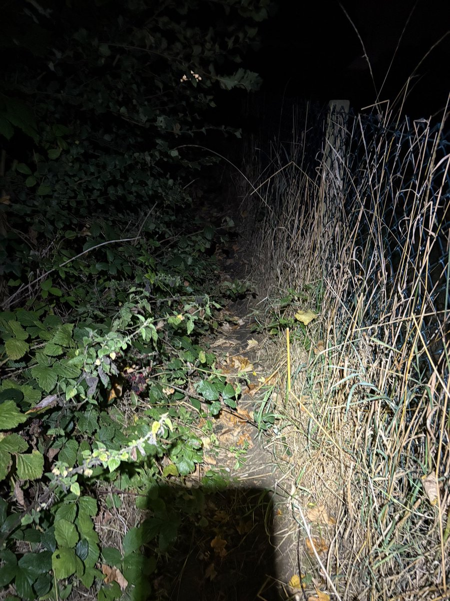 LoopForAdam's tweet photo. pace has slowed as tough terrain  and difficult navigation in the dark. Both feeling okay(ish) though. https://t.co/Nd4tIw4MnT