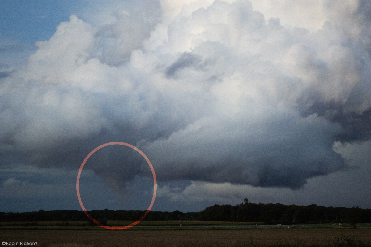 Robin ⚡ tweet media