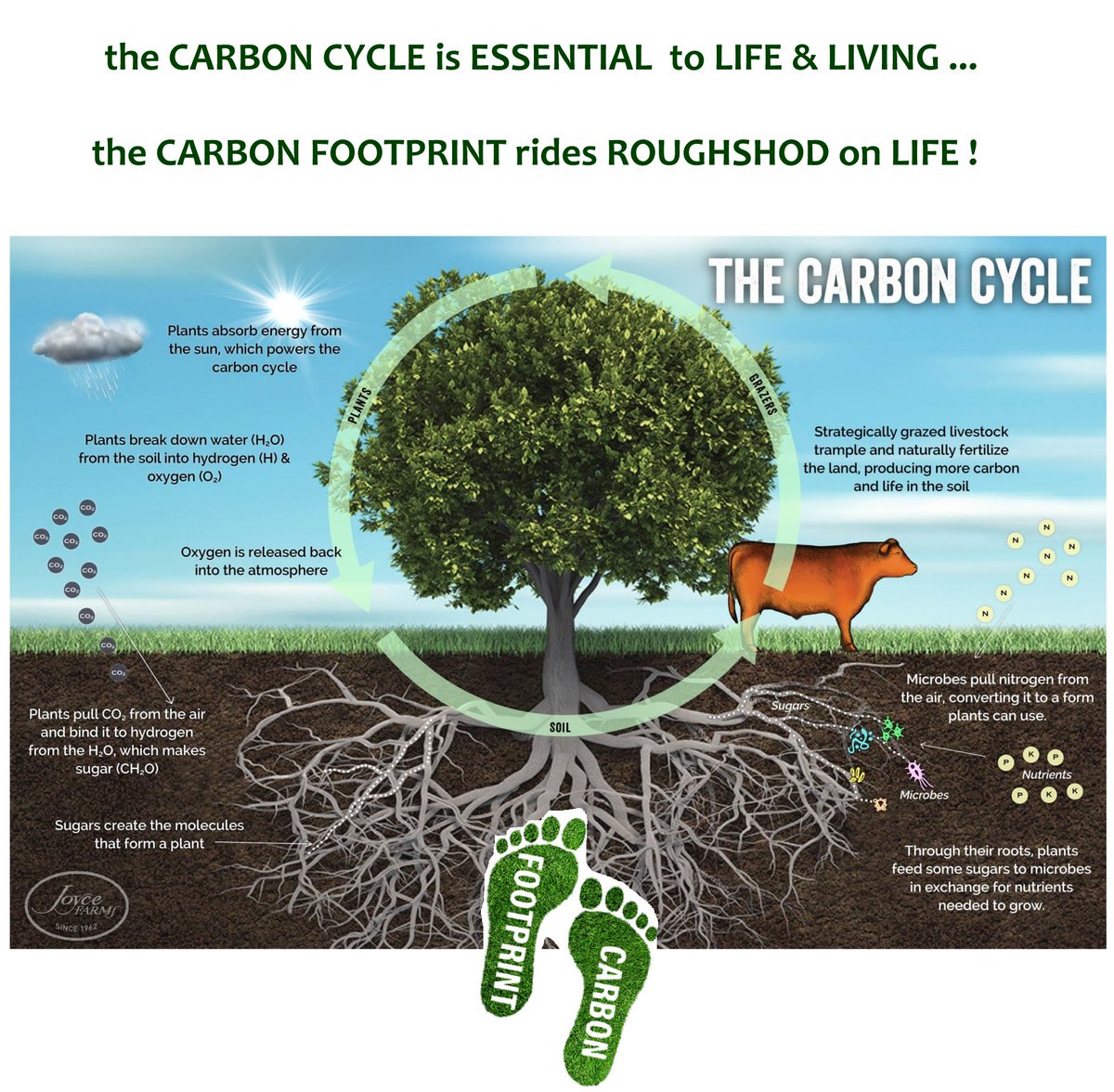 Carbon is essential to all life. It is not toxic. The movement &amp; storage of carbon in all living organisms on Earth &amp; in the organic matter of soils is the carbon cycle. Carbon is not toxic &amp; is fundamental to life, forming the backbone of organic molecules like DNA &amp; proteins.