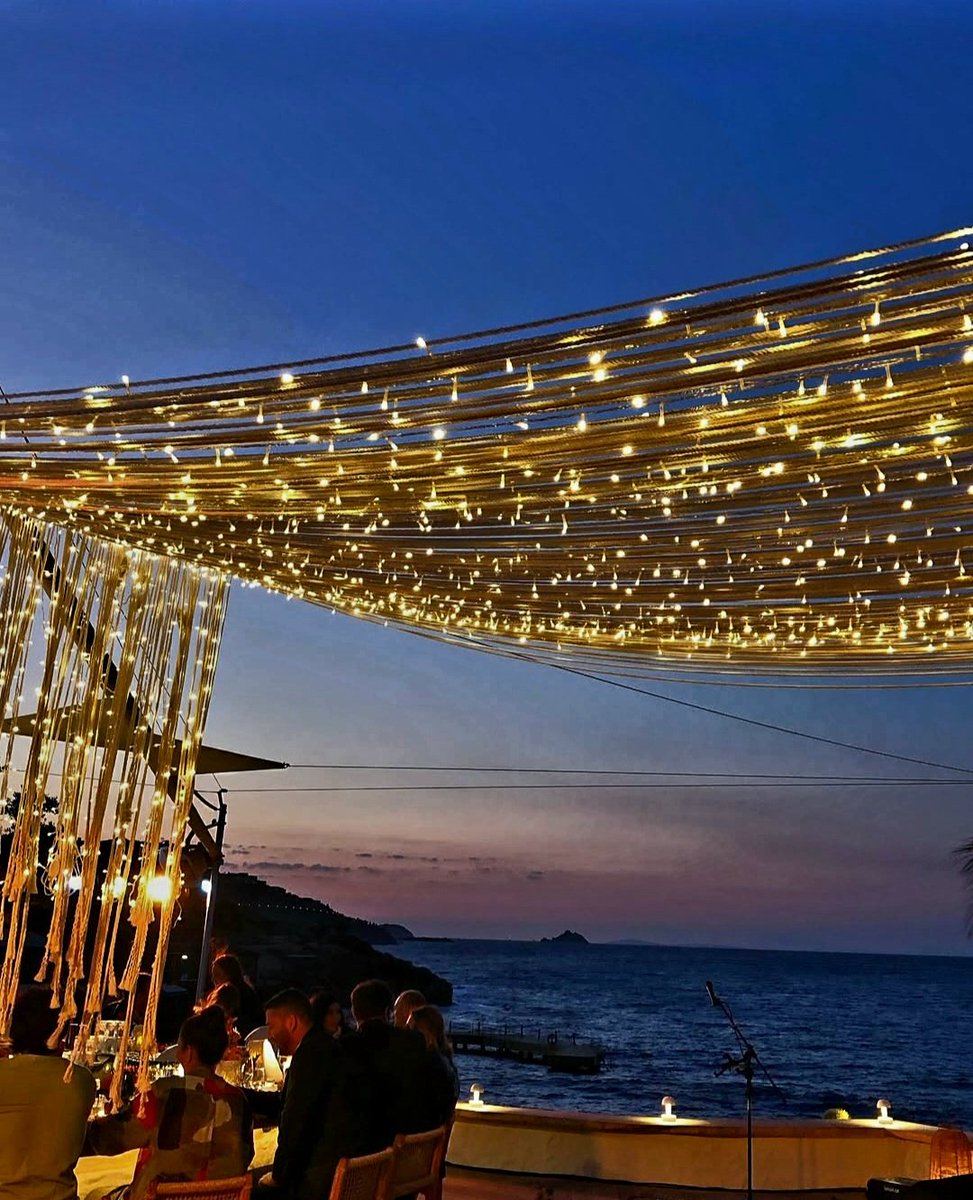 Don't afraid  to lose ...