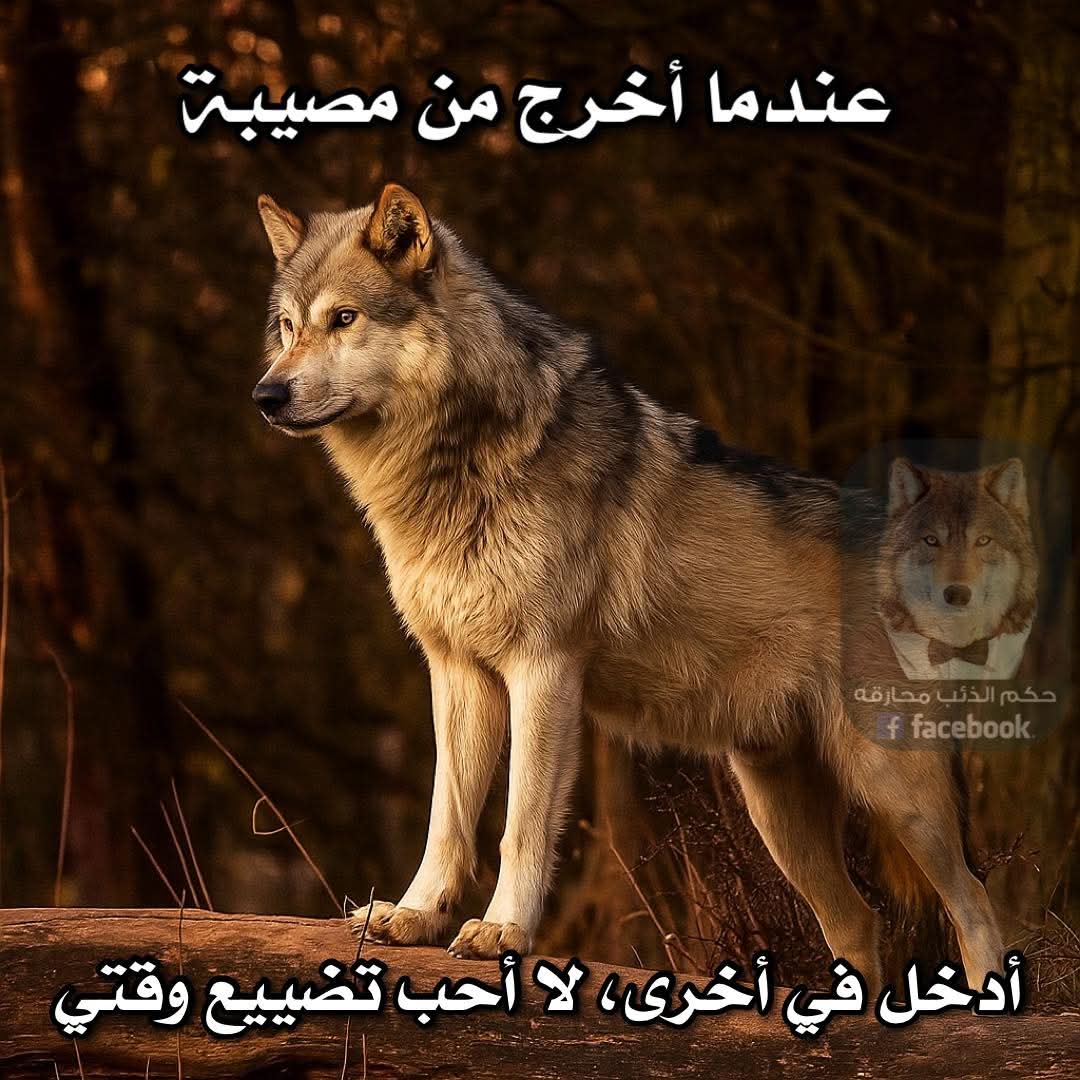 ساره بالبستاشيو (@_sara_xyz) on Twitter photo 