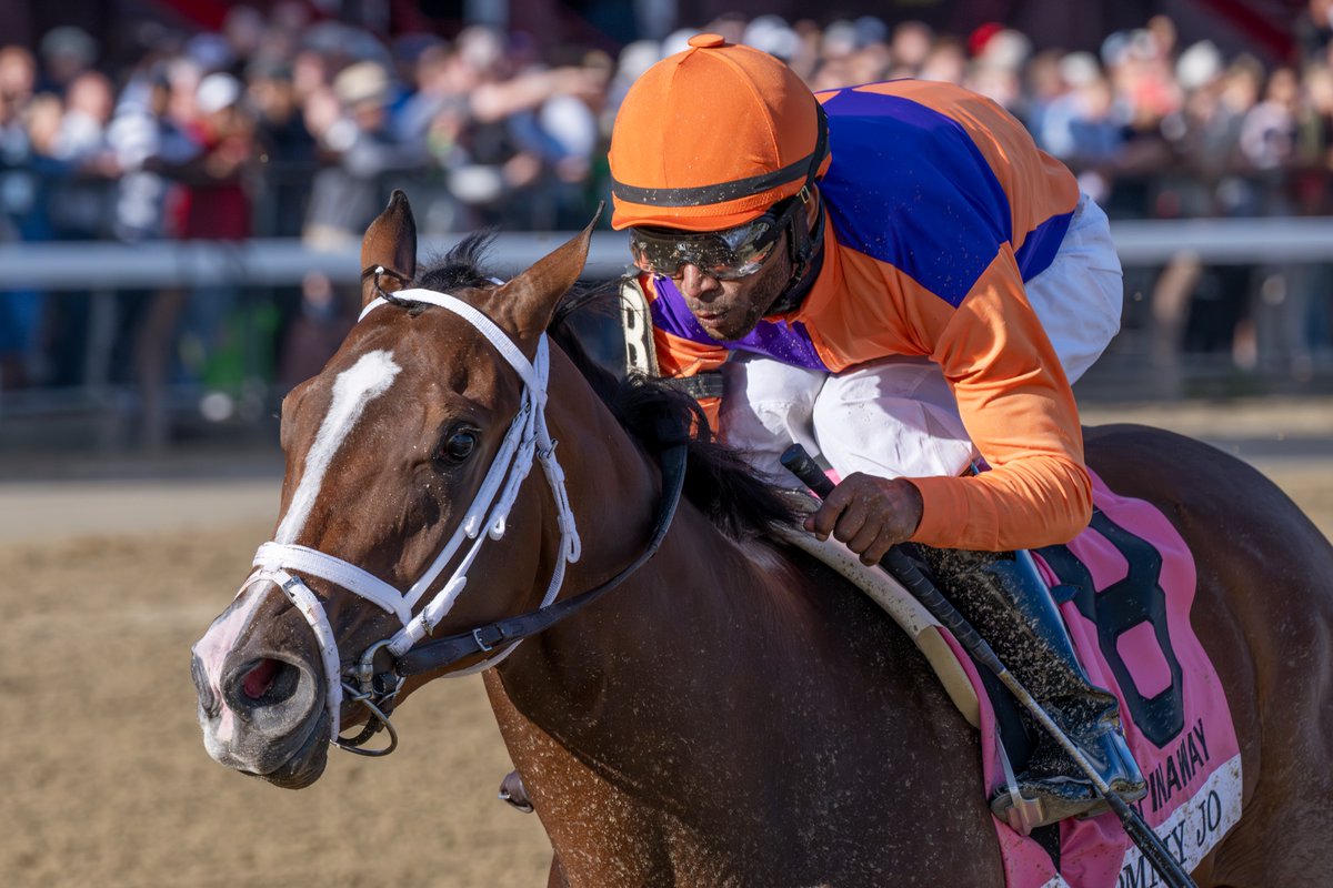 Erica Miller tweet media