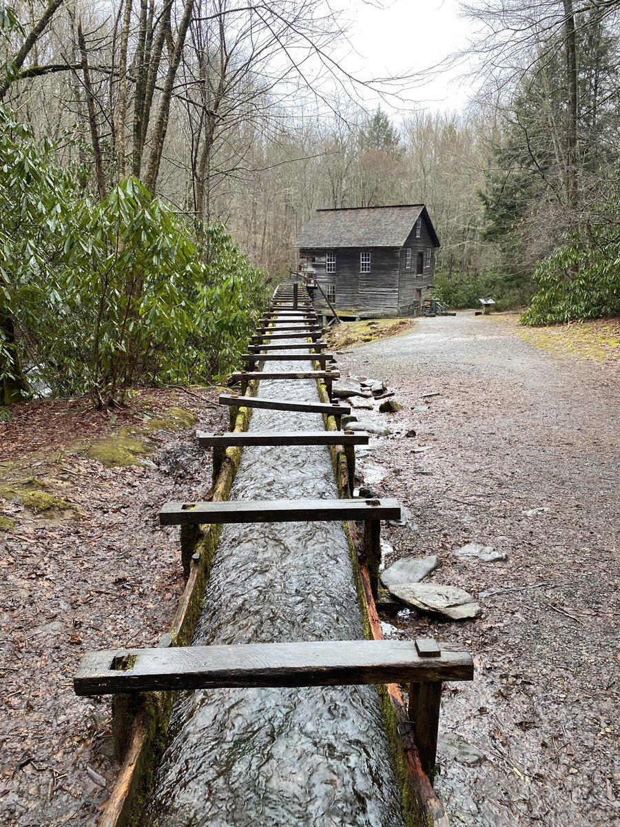 fat_while's tweet image. Miss you old friend.