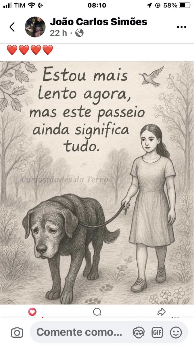 #BoaNoite A TODOS QUE AMAM, DEFENDEM, RESPEITAM, ADOTAM E AJUDAM OS ANIMAIS!!