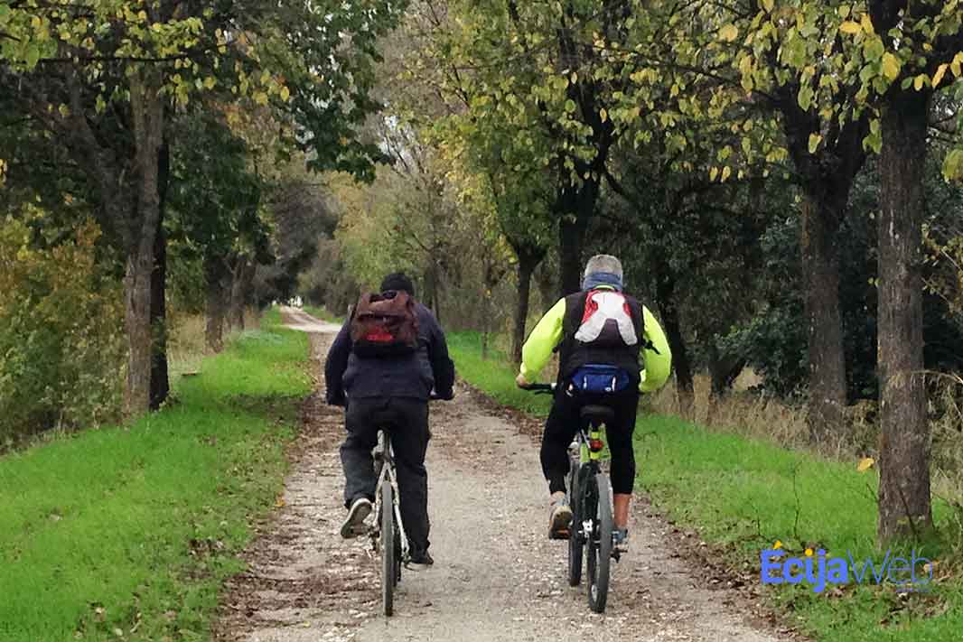 La Vía Verde que discurre por Écija, en el catálogo nacional de planificación de viajes  ecijaweb.com/via-verde-camp…

 #Ecija #Noticias a través de <a href="/EcijaWeb/">EcijaWeb</a>