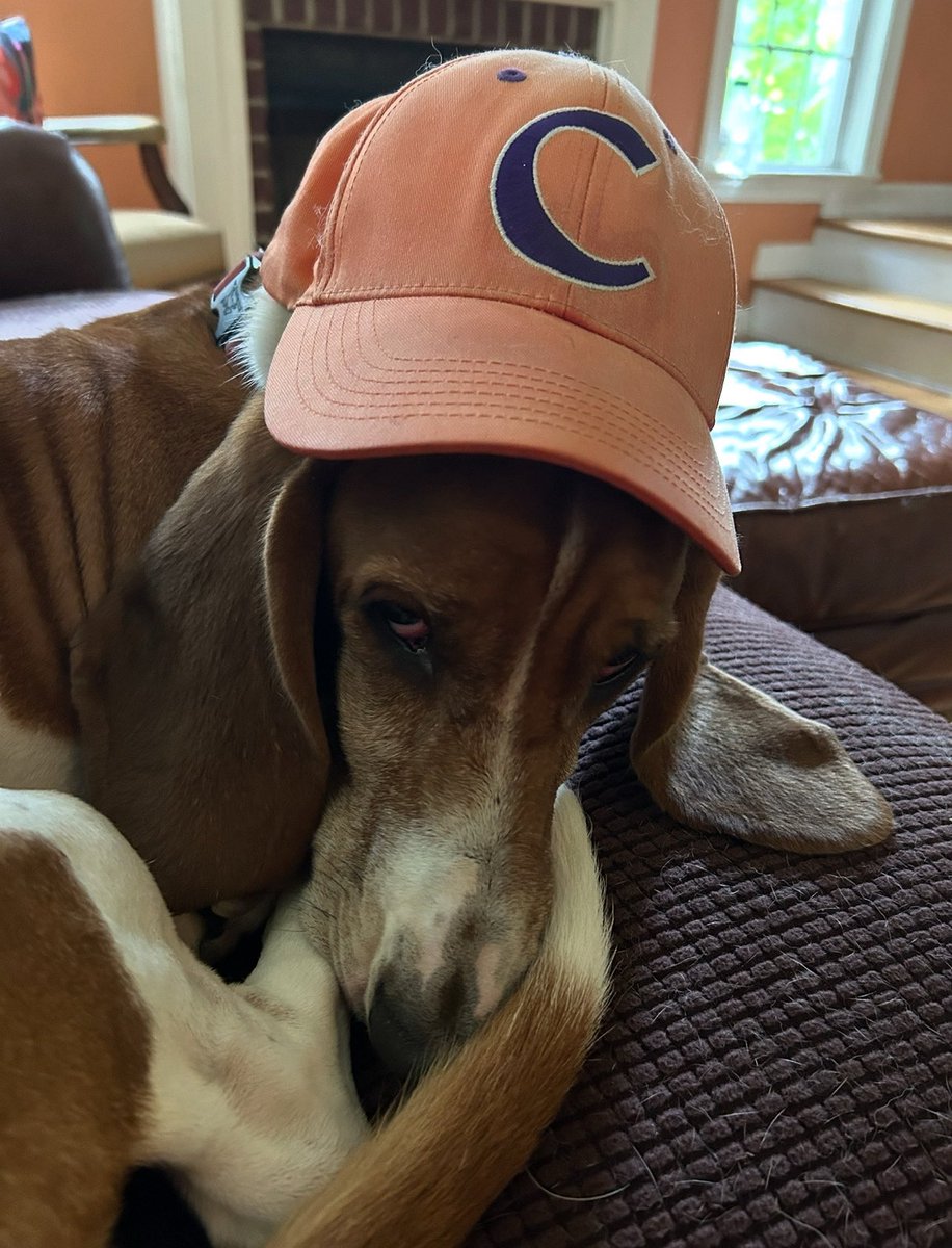 Enough Said.  <a href="/ClemsonFB/">Clemson Football</a> #gameday #FootballSeason