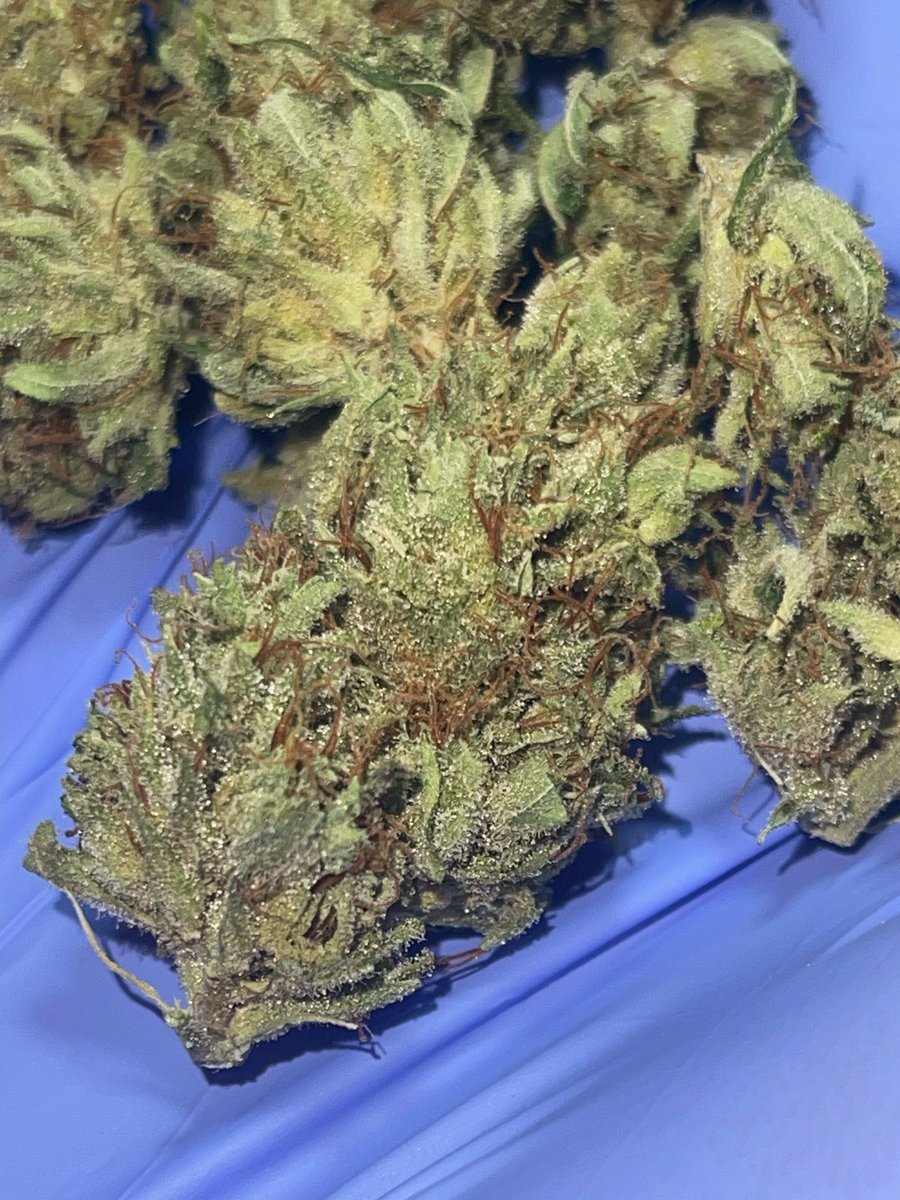The Lazy Eye Weed Guy tweet media