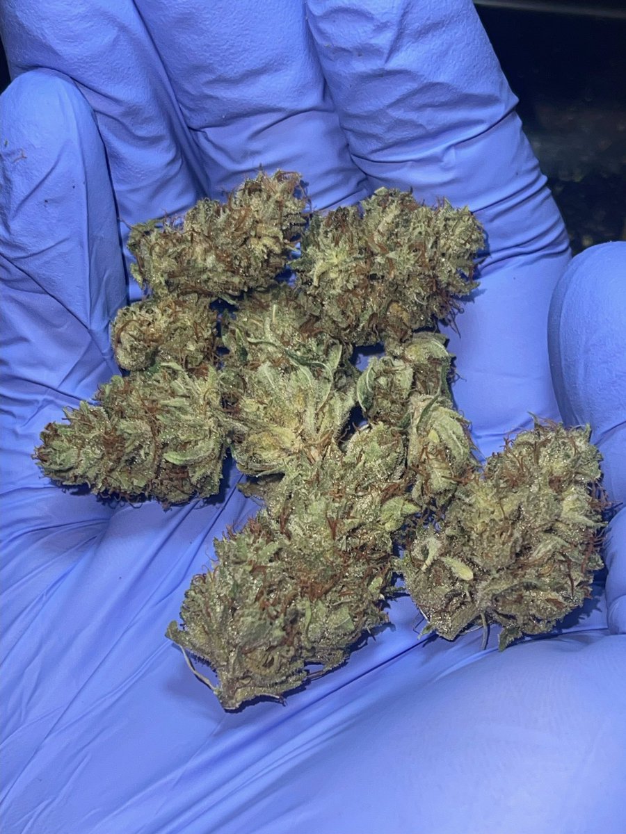 The Lazy Eye Weed Guy tweet media
