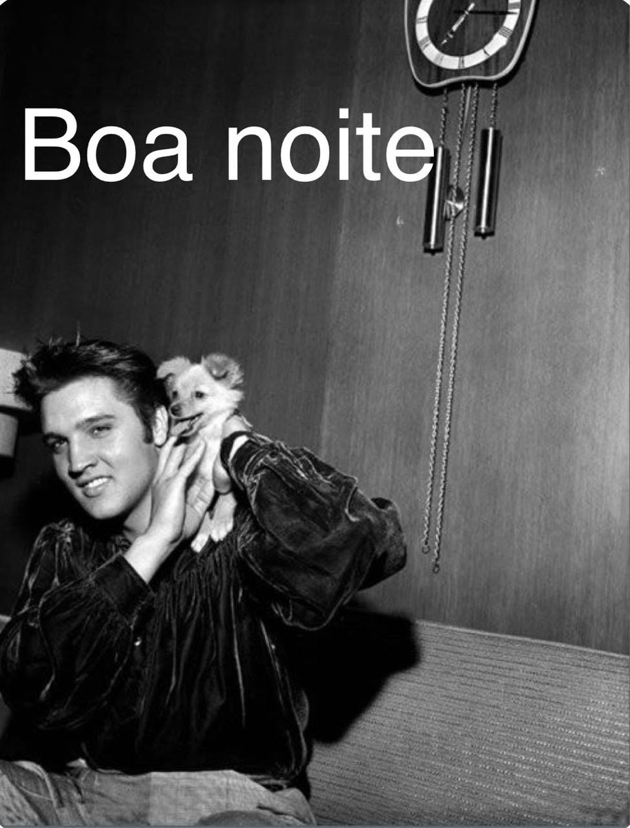 #GoodNight TO ALL WHO LOVE, DEFEND, RESPECT, ADOPT AND HELP ANIMALS!!🙏🙏🐾🐾🐝🐖🦚🦛🐠🦑🐘🦜🐑🦃🦖🐍🐄🐪🐆🐋🐓🐎🐢🦎🦏❤️❤️❤️🌹🌹🌹🌹🇧🇷🇮🇱🇺🇦