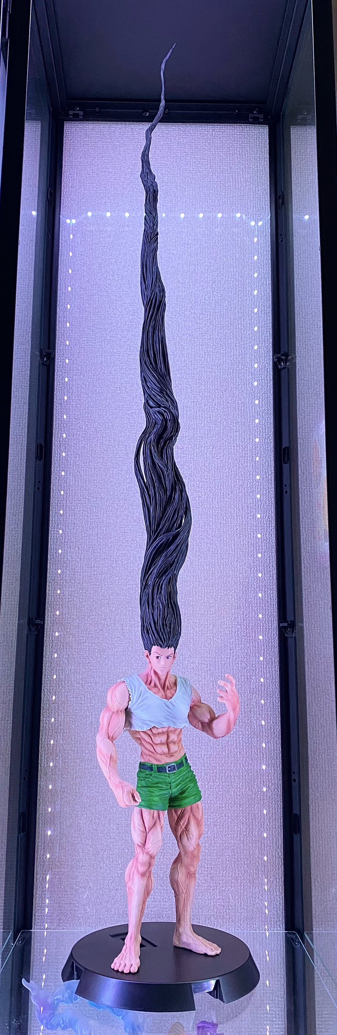 HUNTER x HUNTERゴン成長ver. MASTERLISE EXTRA