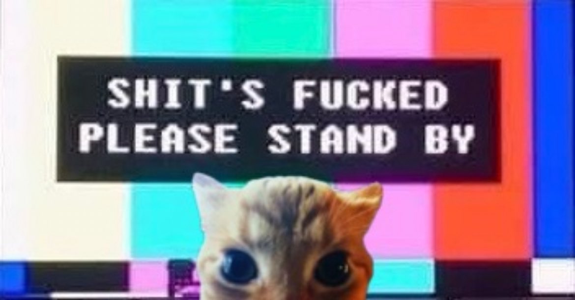 GaK (@gakstercat) on Twitter photo 