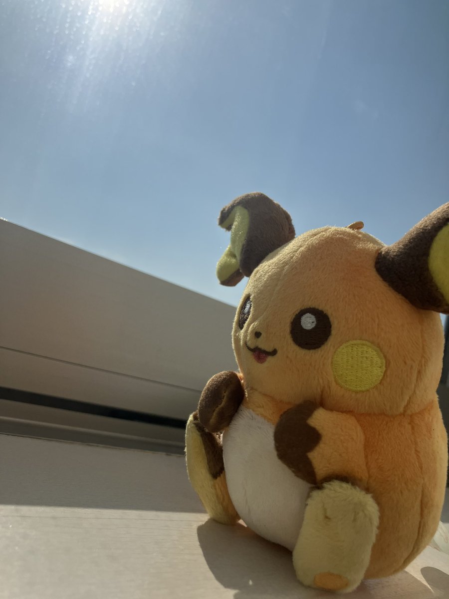 朝日が気持ちいいね、ライチュウ