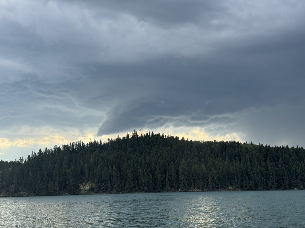 Mitchell Graf tweet media