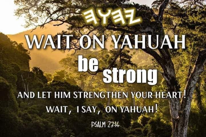 Th World moving super fast which means you Step Out of her and slow down, Be Still Be Steadfast Be like a Living Tree. 13Love 
-Rabbi Wisdom 9.13