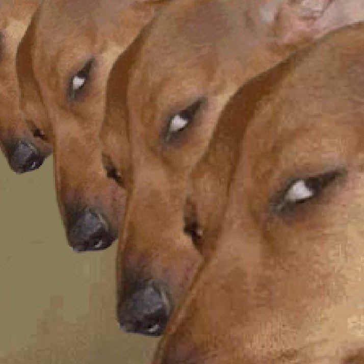 Momo™ (@momemo95) on Twitter photo <a href="/MageArez/">Arez</a> I am sorry about this brother
Also not a fan of stuff just disappearing
Consider joining the Sus Patrol Dog group and call out everything sus <a href="/Sniffoutyoursus/">Sus Dog</a> 
AnUGdwznUiPSHzSRpgzYdTeE9ss735JLh46EGKPWpump <a href="/MageArez/">Arez</a> I am sorry about this brother
Also not a fan of stuff just disappearing
Consider joining the Sus Patrol Dog group and call out everything sus <a href="/Sniffoutyoursus/">Sus Dog</a> 
AnUGdwznUiPSHzSRpgzYdTeE9ss735JLh46EGKPWpump