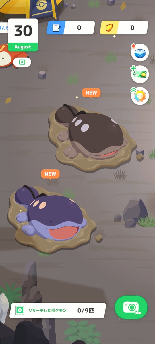 ツーショット📸夫婦かな🤔
 #ポケスリ
