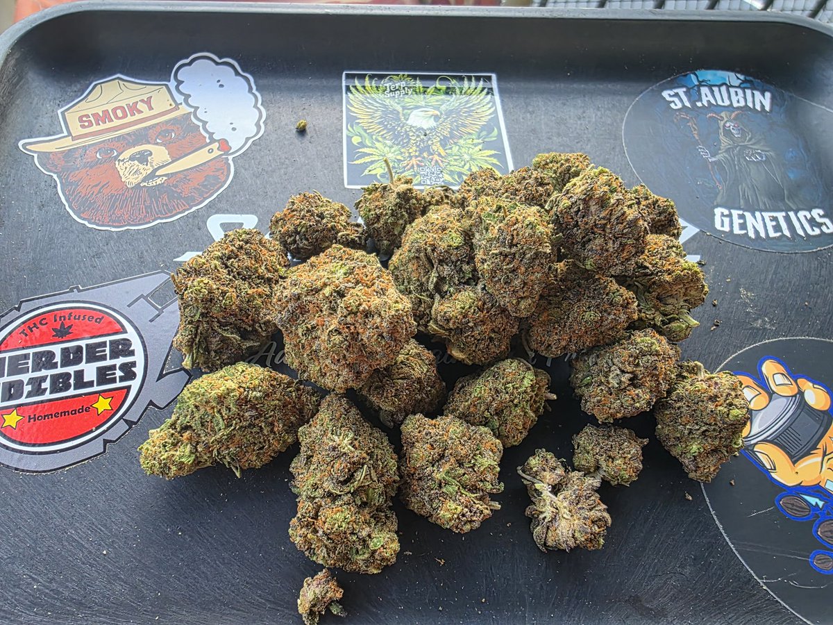 TJ (@timmytoad84) on Twitter photo Pack has landed from <a href="/TERP_THCA/">Terp Supply, Co</a> and looking tasty ๐. Appreciate the fast shipping and sample ๐ข ๐ฏ % Pack has landed from <a href="/TERP_THCA/">Terp Supply, Co</a> and looking tasty ๐. Appreciate the fast shipping and sample ๐ข ๐ฏ %
