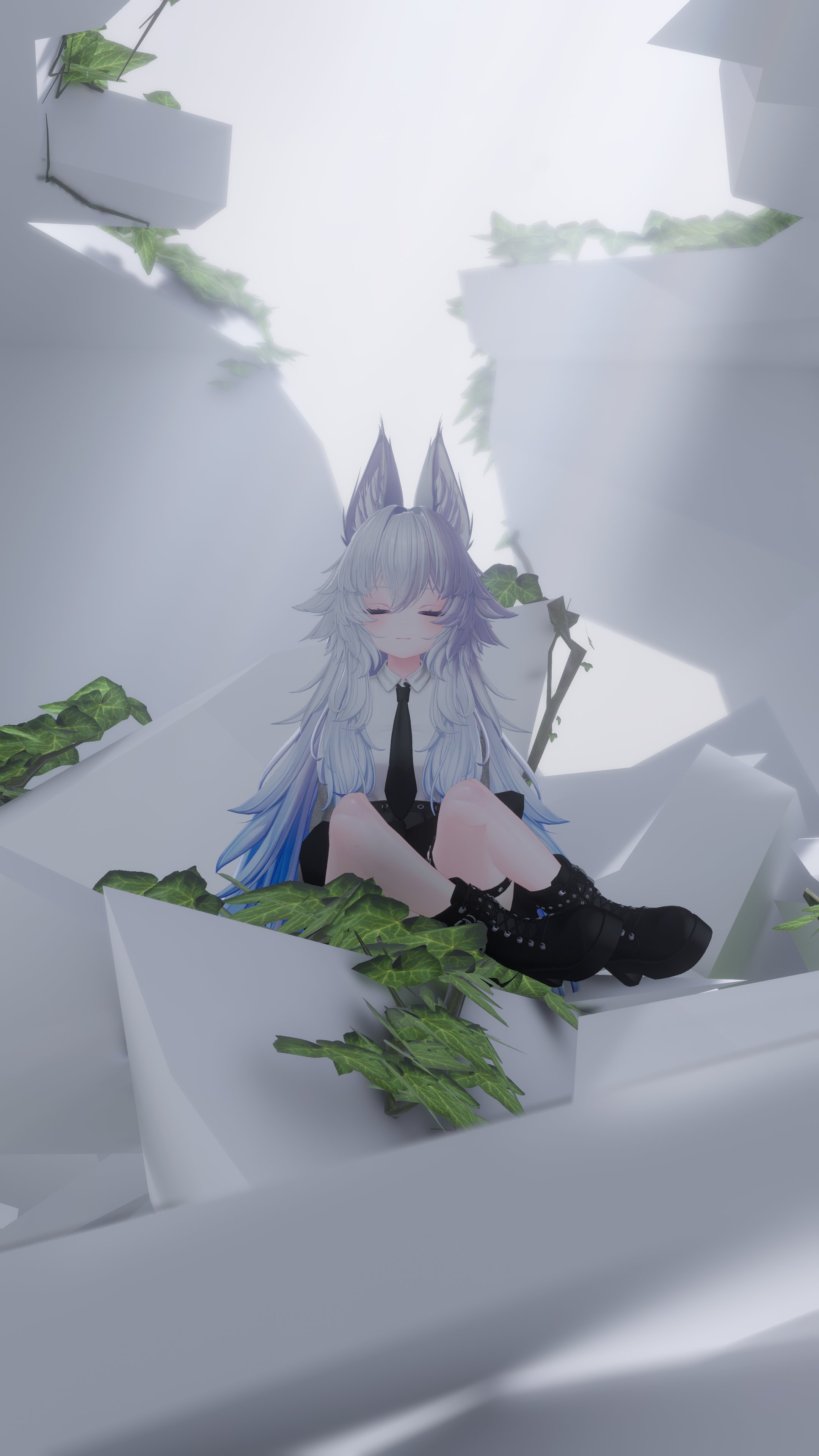 Tweet Image