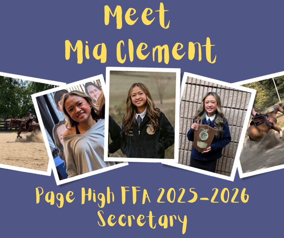 Page High FFA tweet media