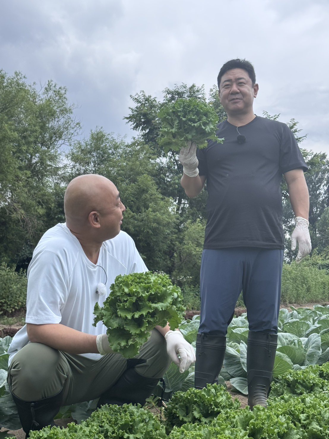 「kiki様用２点まとめて 」h,a長谷川潔の限定500部【 野辺小禽 】 kiki様用2点まとめて 」h,a長谷川潔の限定500部【 野辺