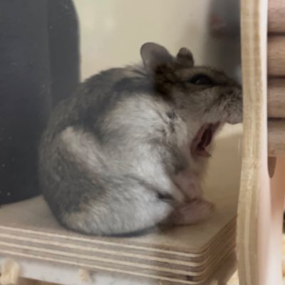 I forgot my headphones at home and I already drank my preworkout