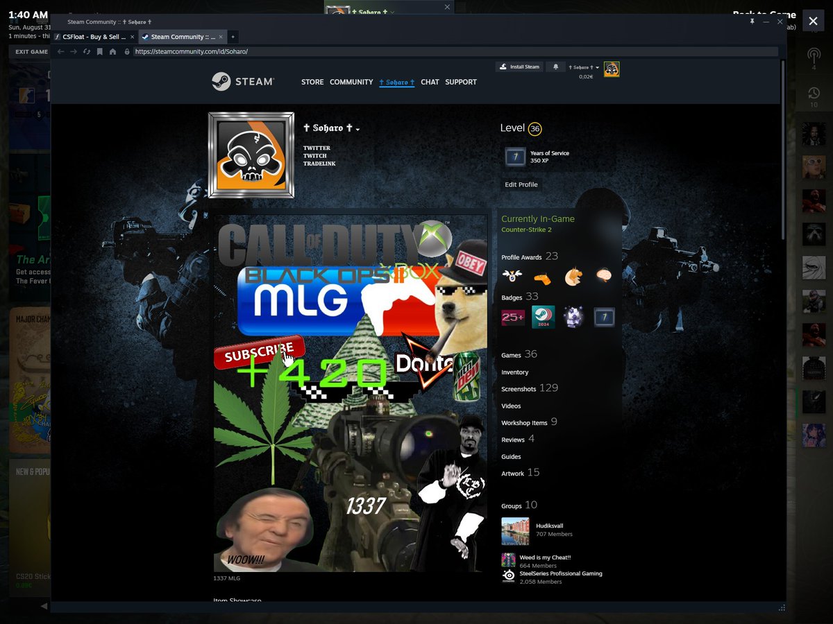 Best profile on steam 🙏🙏🙏