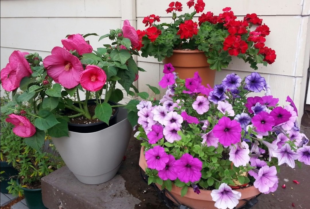 GordonHarmony's tweet image. THE EXILE PRESS. 

What a great name. 

Congratulations on being  #UNCANCELABLE 

To live a righteous life and to be prosperous is a double blessing. 

GOD IS SOVEREIGN. 
And GOD has you in the palm of His hand.