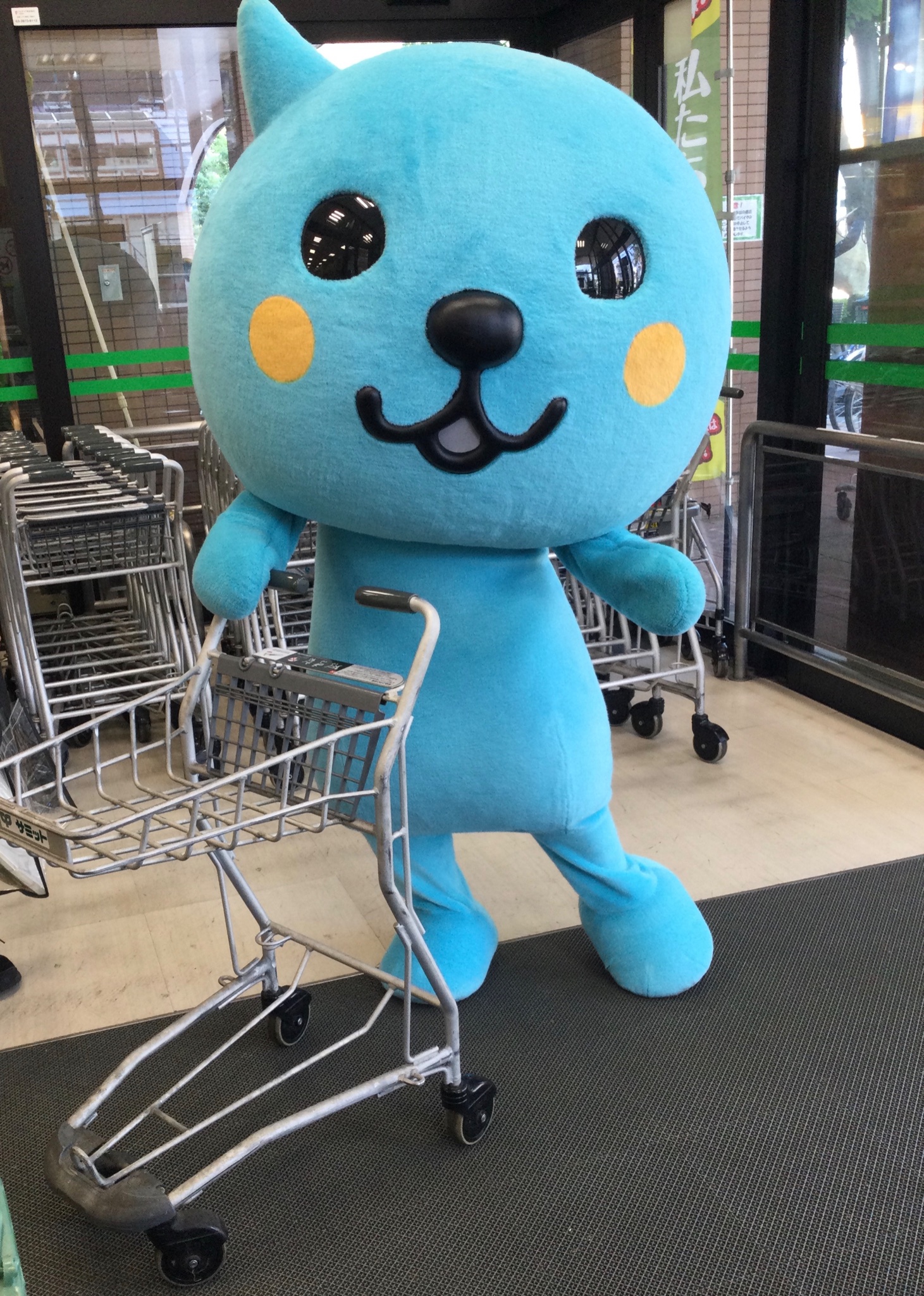 Qooセット　合計７枚の写真が全貌です 楽天市場】【ふるさと納税】ゼクシオ エックス フェアウェイ