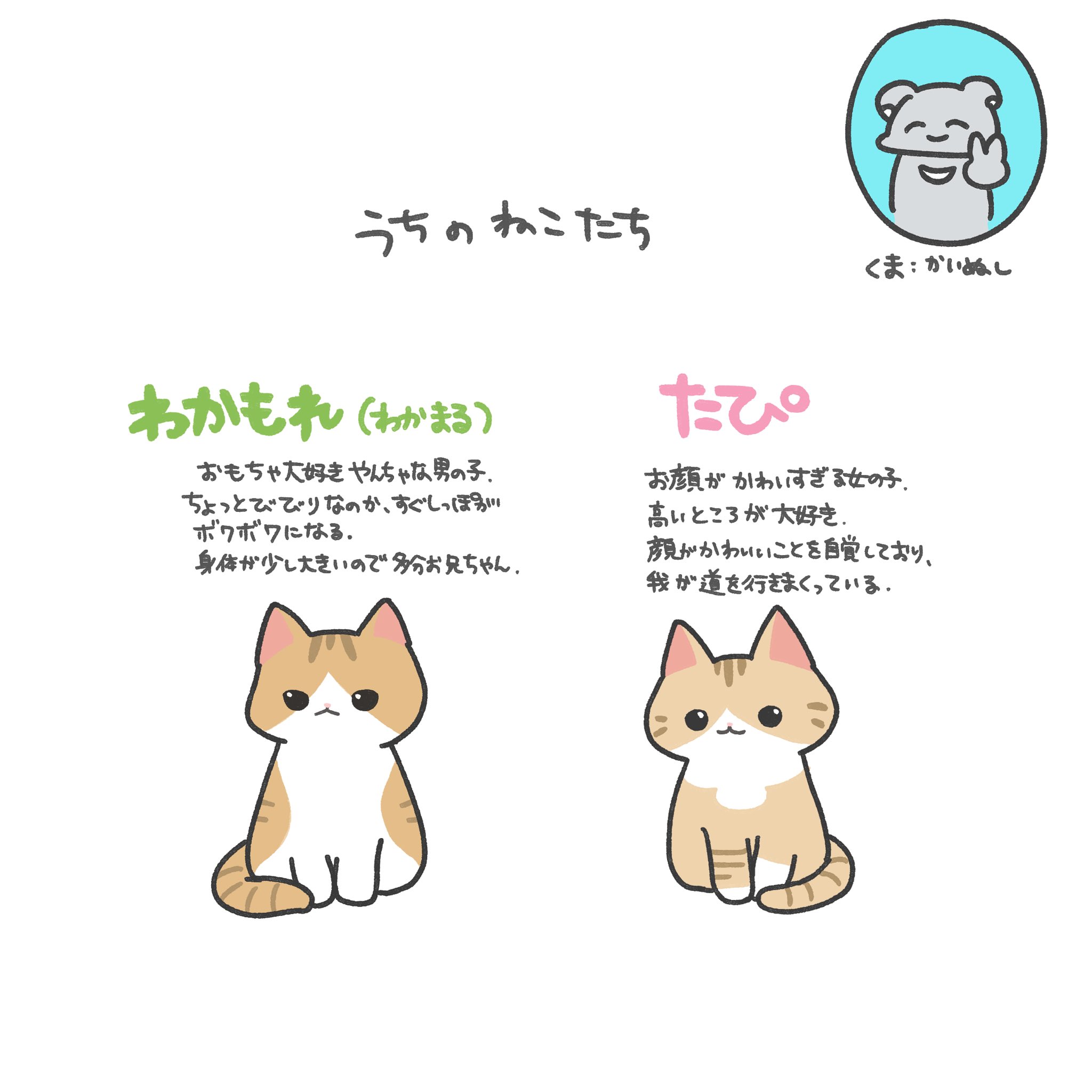 ちび猫※プロフ全文必読※ 踏(ふみ)ちゃん on X: 