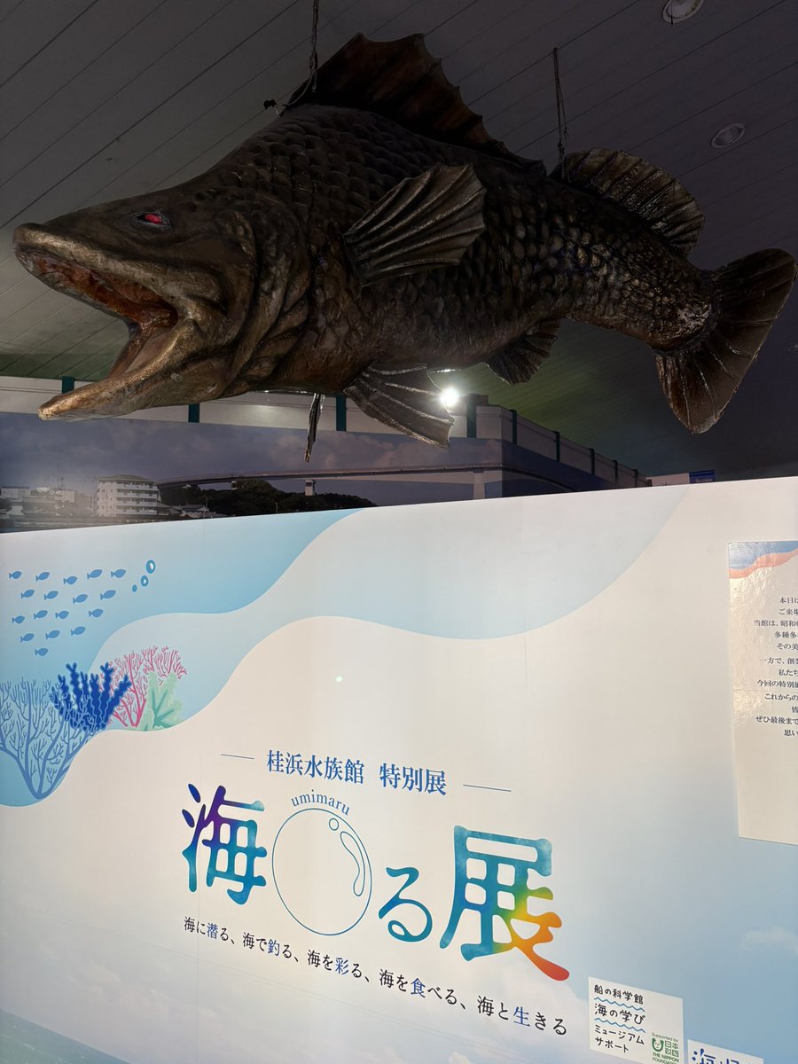 久々のプチ旅行で桂浜へ〜🐟