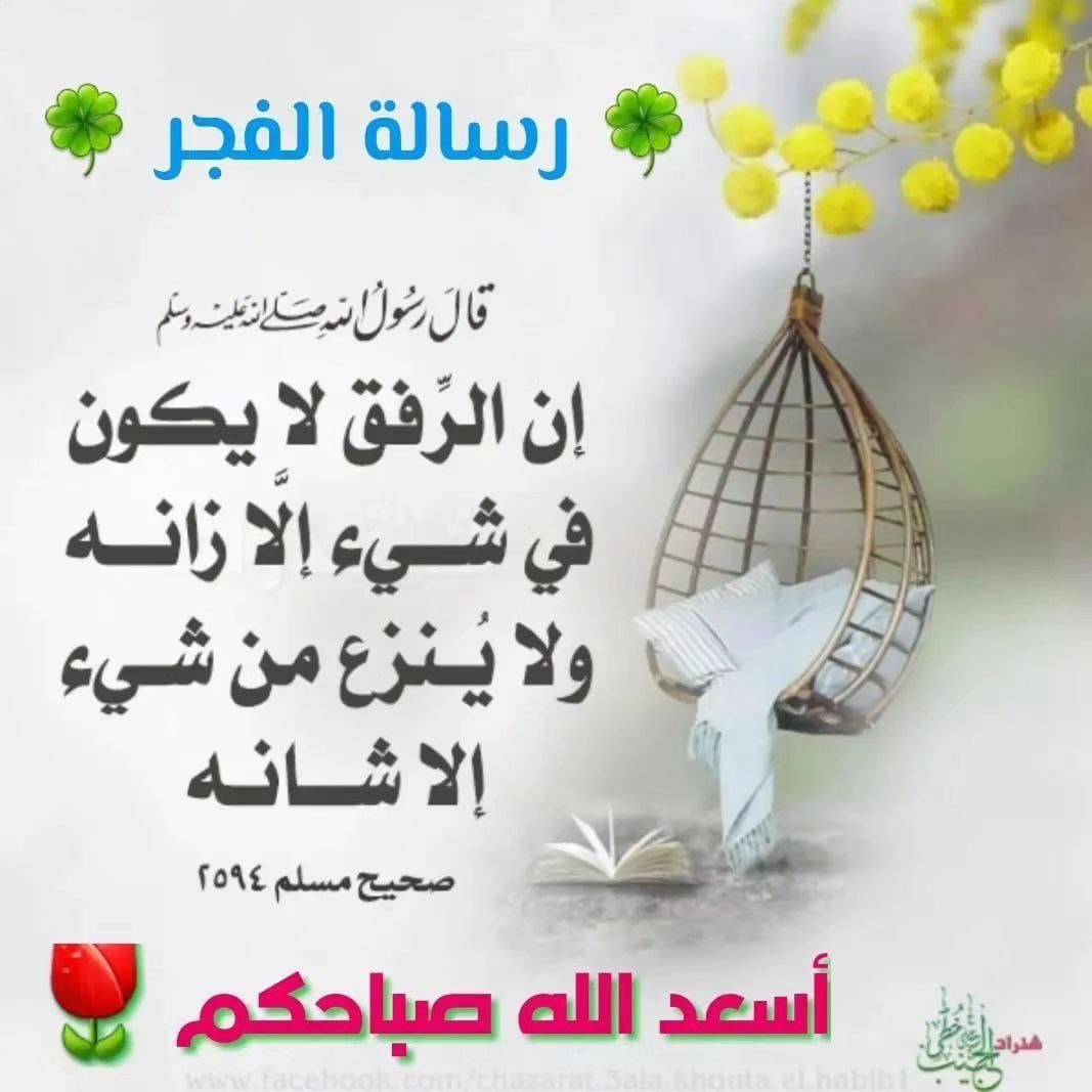 ☀

 "يا أيها الذين آمنوا اذكروا الله ذكرا كثيرا وسبحوه بكرة وأصيلا" 
ذكر الله يسهل الصعاب 
ويهذب الأخلاق
ويزيد في الإيمان ويثقل الميزان

🌤️يومكـــــم اجمل بذكر الله