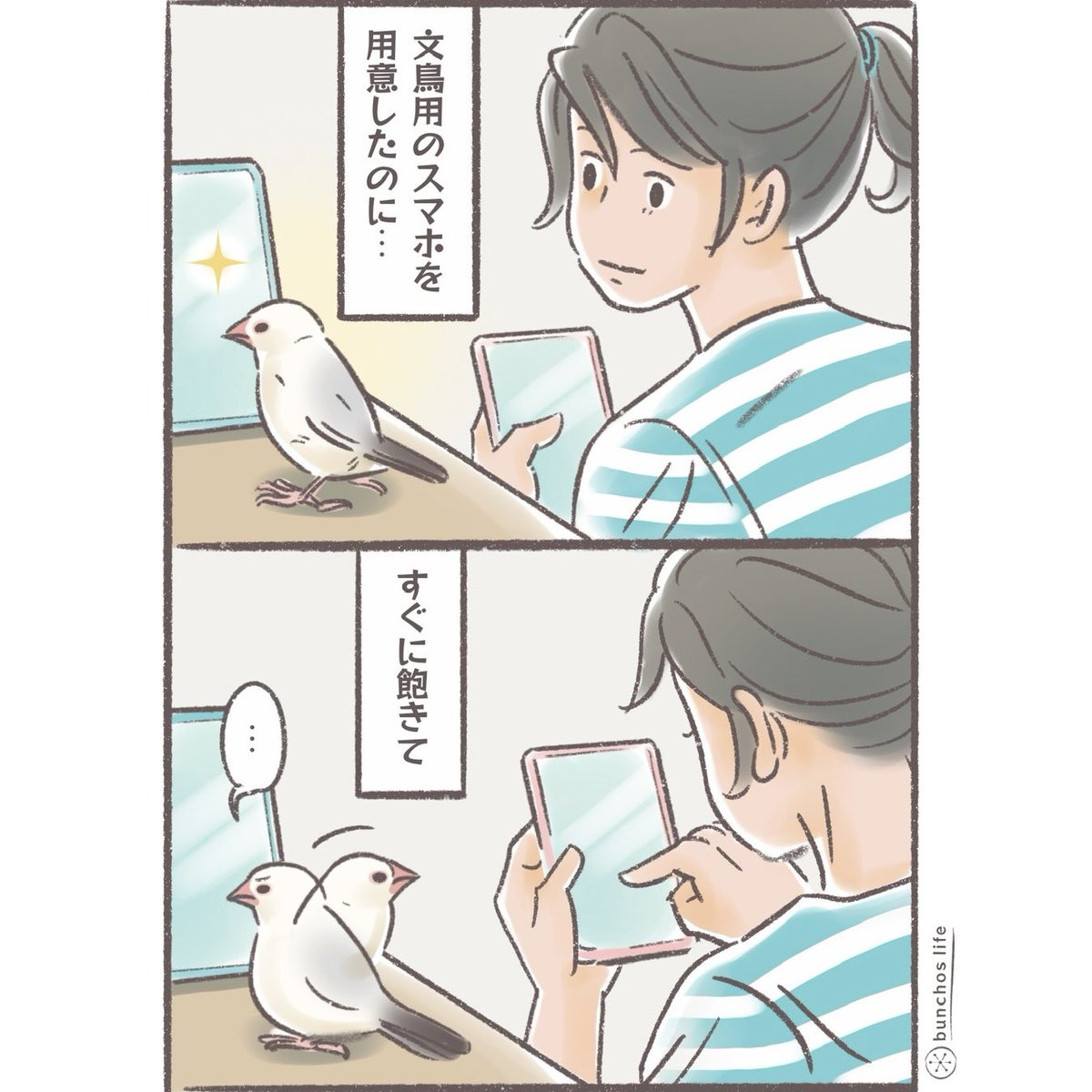 文鳥用スマホに騙されない文鳥…
(多分一緒に楽しいねって言いながら新しい動画を次々出して欲しいと推測)
#文鳥 
#4コマ漫画 