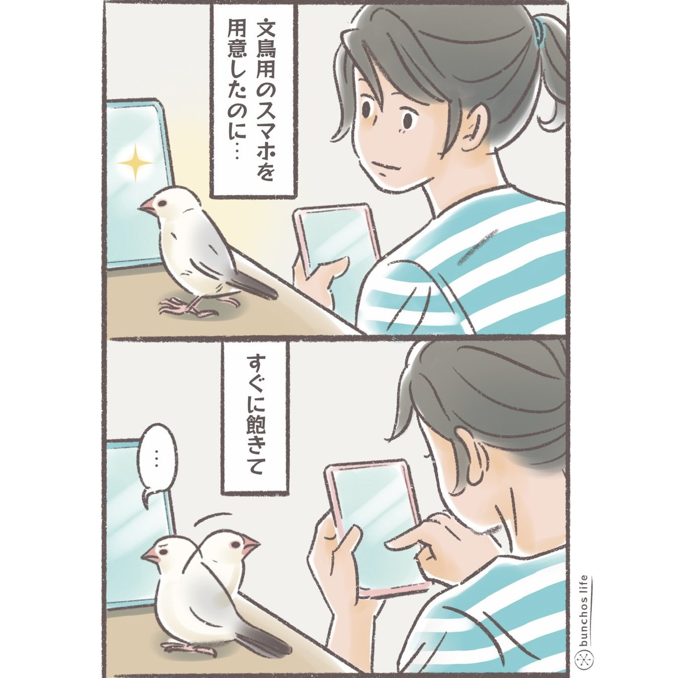 こむぎ🕊️ on X: 