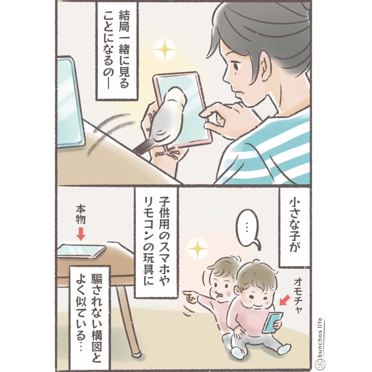 こむぎ🕊️ (@komugi_chan55) / X