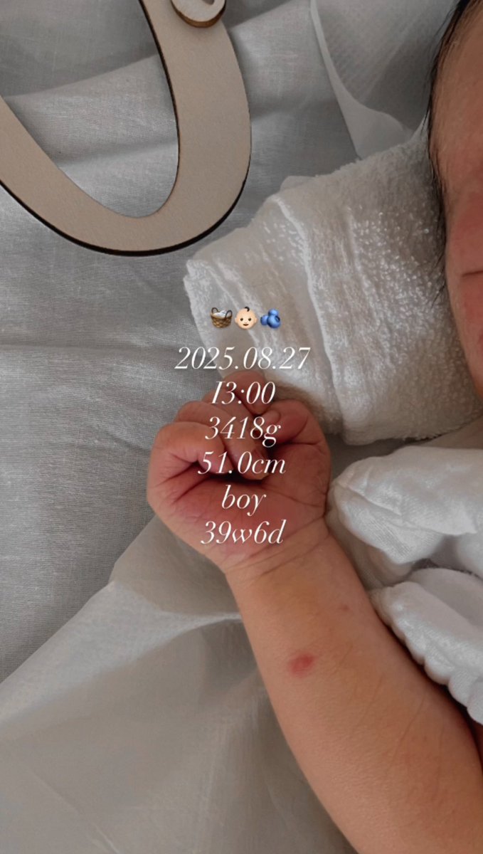 低浮上さんのご報告🫧

ドビランドからいた子を出産しました！👶🏻
無事に生まれてきてくれて幸せなり☺︎
子供と絡んでるドボイジュ好きだから、いつかヒョンジェとソヌに合わせに行きますねっっ！！

本当はイルコン行きたかったけどタイミング難しくて、次からは参加しますッ🥹💕