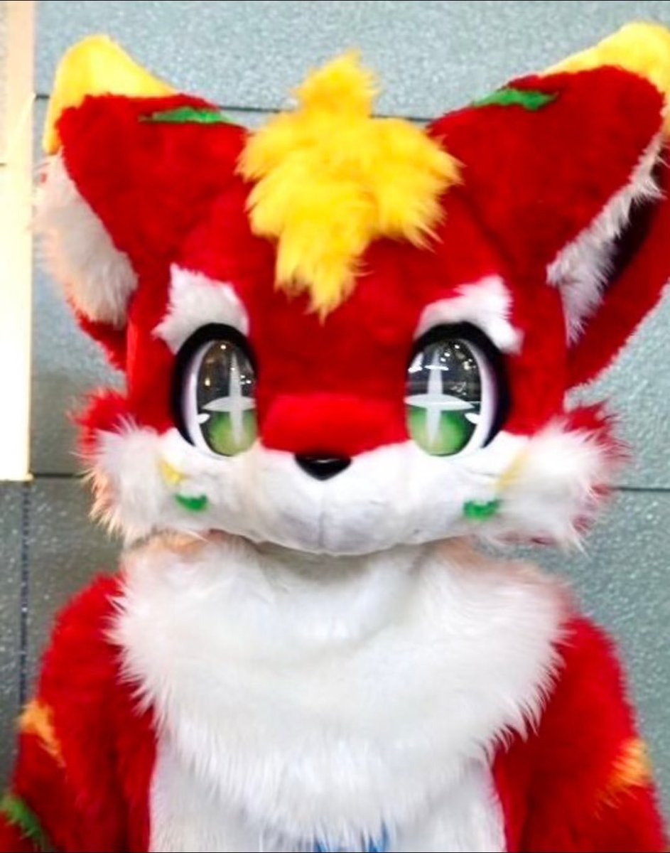 投稿する写真がなくて今これ
#FursuitEveryday