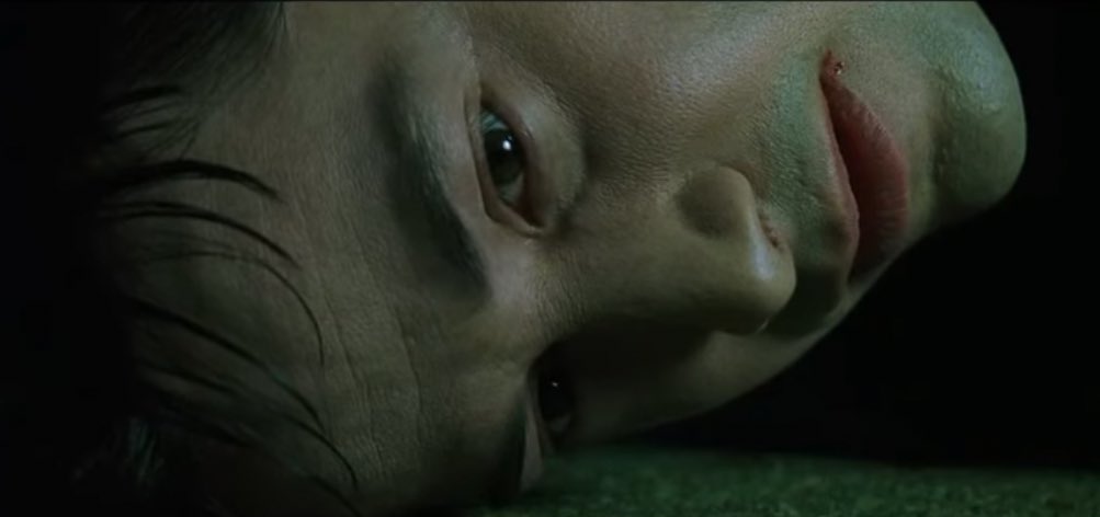 Neo, now get up… 🐦‍🔥