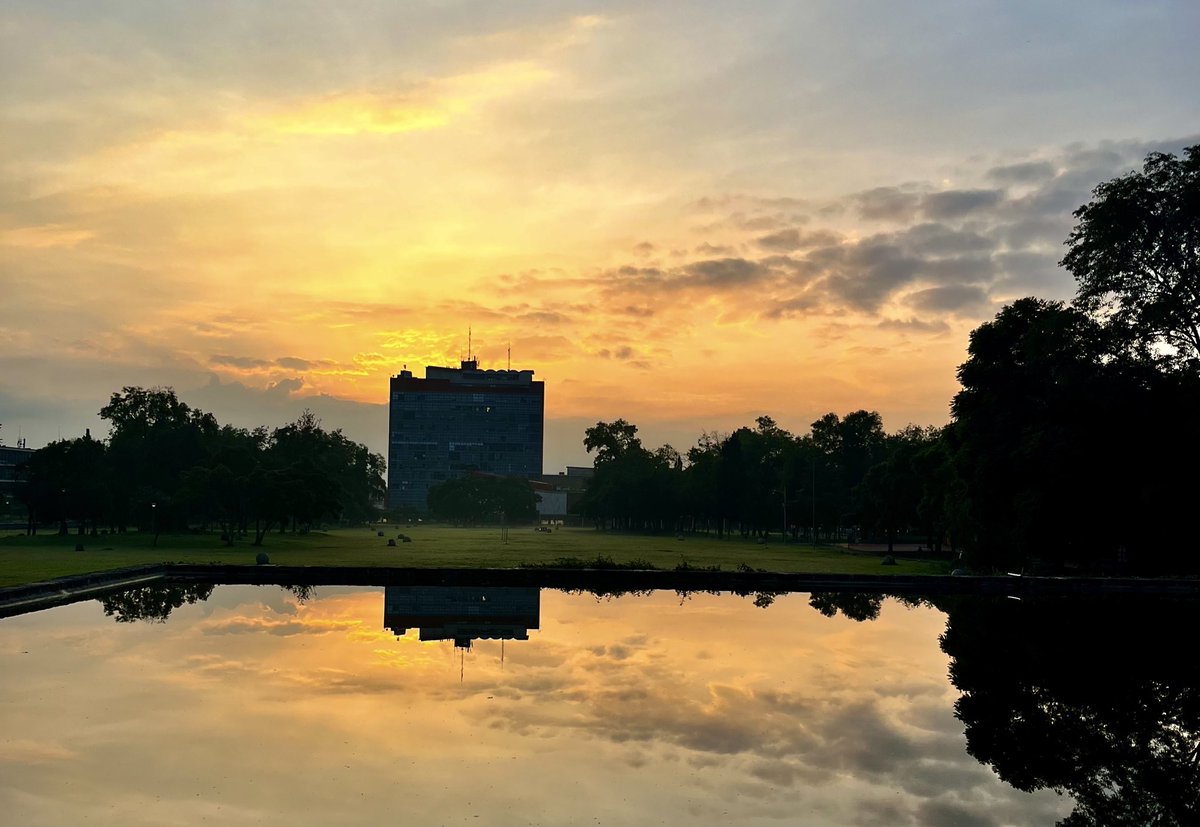 Zaadfeliz🪩 tweet media