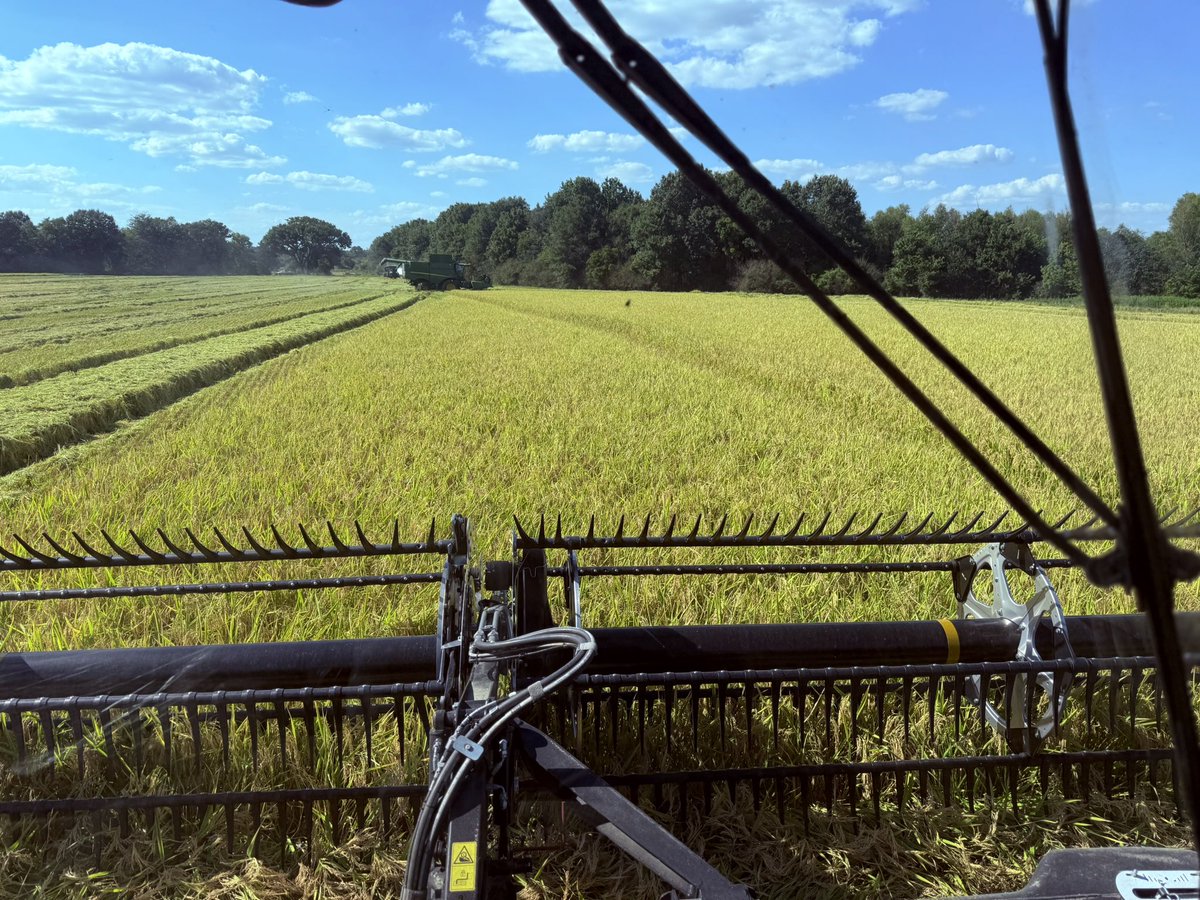 suthrndrtfarmer tweet media