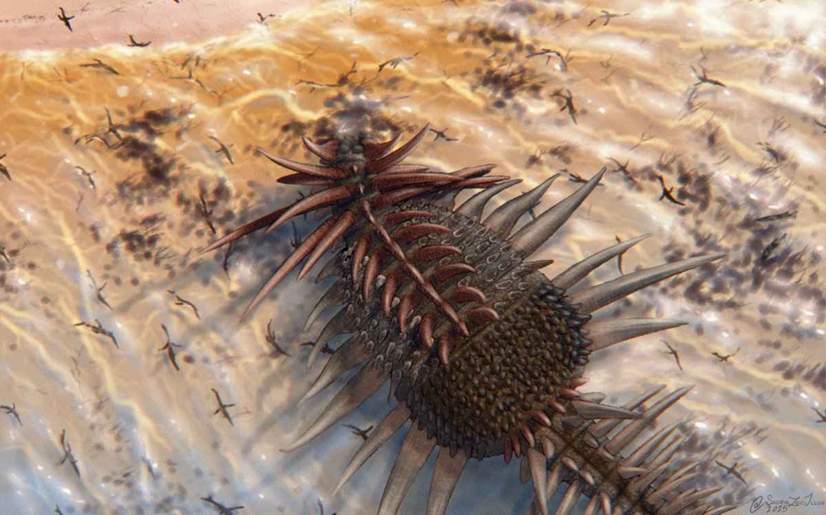 result of this week's special 2 hour #Paleostream flocking!

for this flocking we spent 2 hours on just Spicomellus, however, i spent an additional 6 hours on my piece