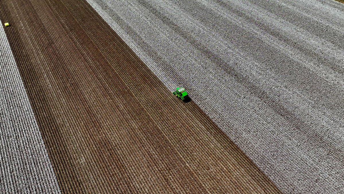 Traveling Agronomist tweet media