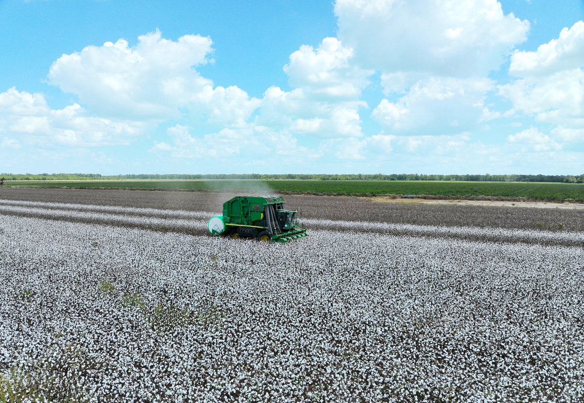 Traveling Agronomist tweet media