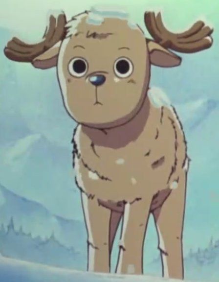 whirlysanji's tweet image. HE WAS JUST A BABY 😭😭💔💔