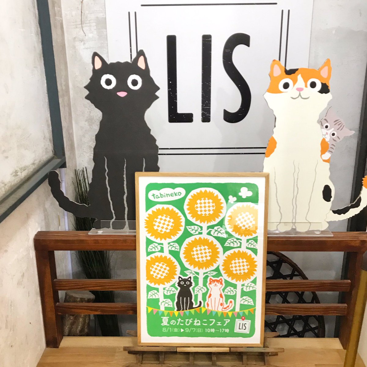 もり としのり（たびねこ） (@CarnivalMORI) / X