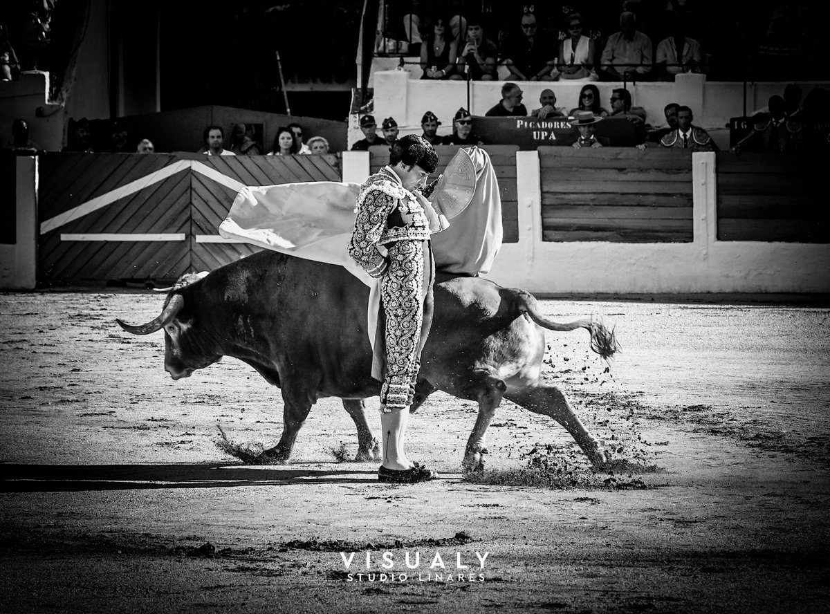 Visualy Studio 📸 | 🎥 tweet media