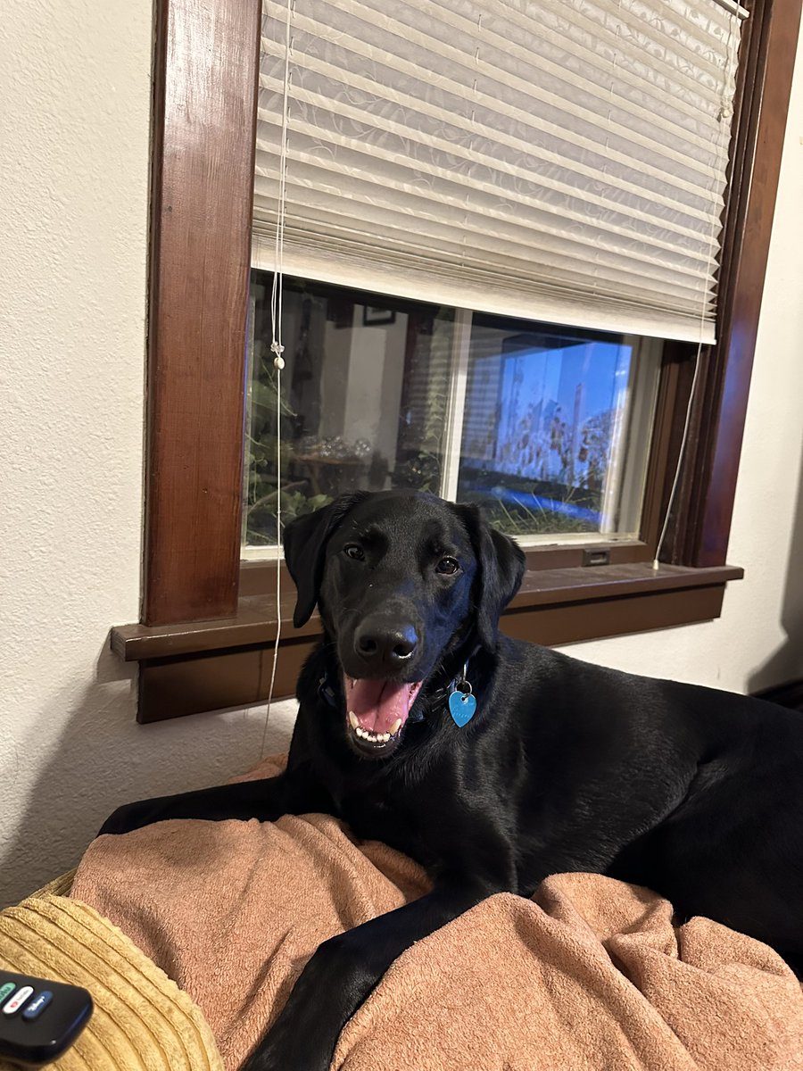 I got to play with my ball a lot today. What did you do?