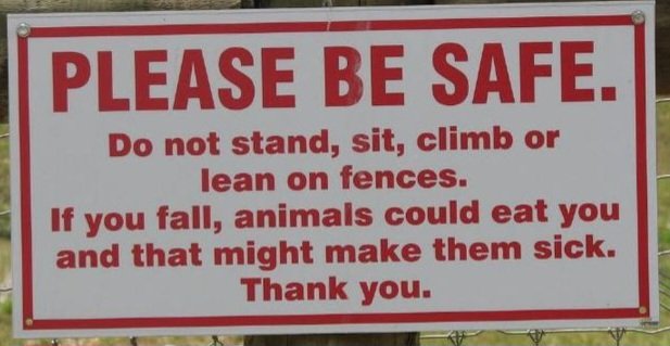 Horror & Laughs 🤪 tweet media