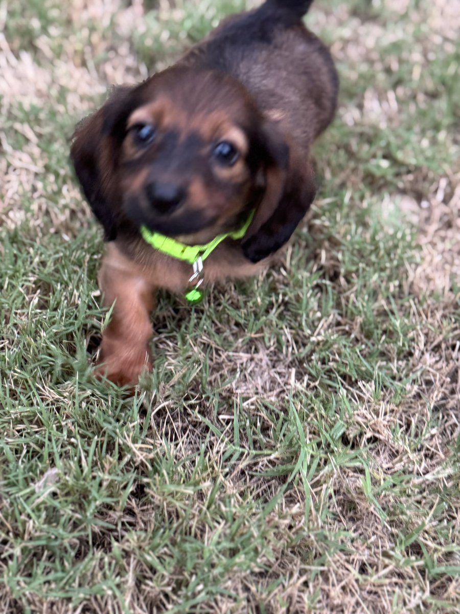 Tammy R Lelek-Porostovsky tweet media